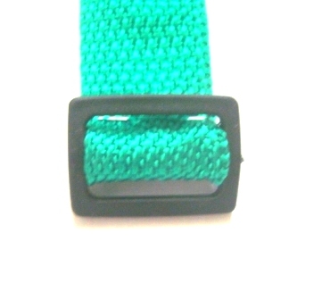Buckle